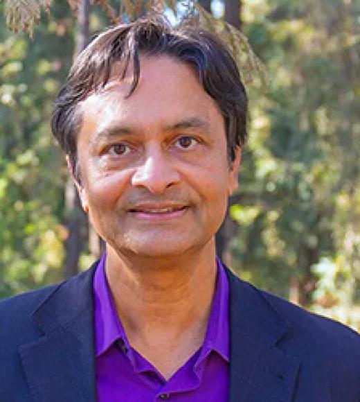 M. Saif Islam | Director, CITRIS at UC Davis